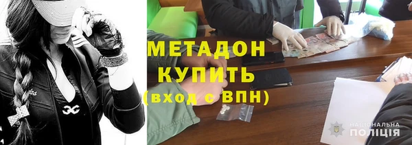 индика Богданович