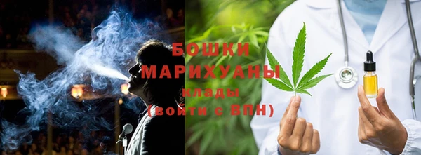 индика Богданович