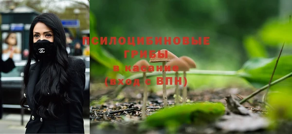 индика Богданович