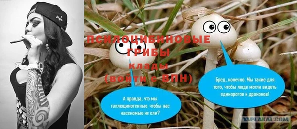 дурь Богородск