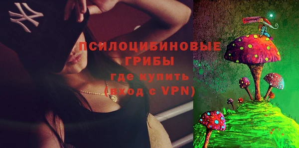 PSILOCYBIN Богородицк
