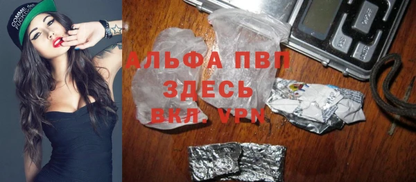 индика Богданович