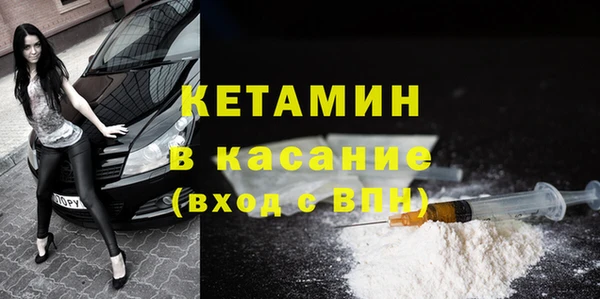 индика Богданович