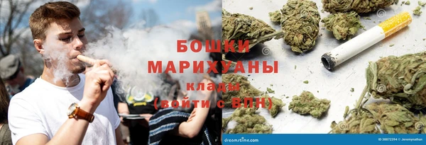 PSILOCYBIN Богородицк