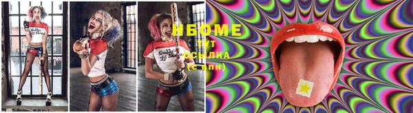 индика Богданович